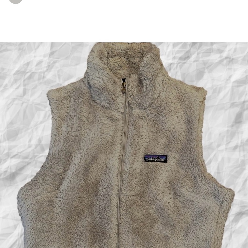 Patagonia Gray Jacket